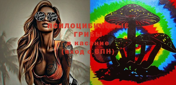 прущая мука Карпинск