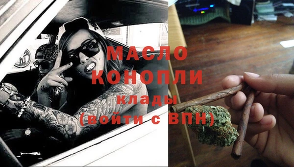 apvp Каменка
