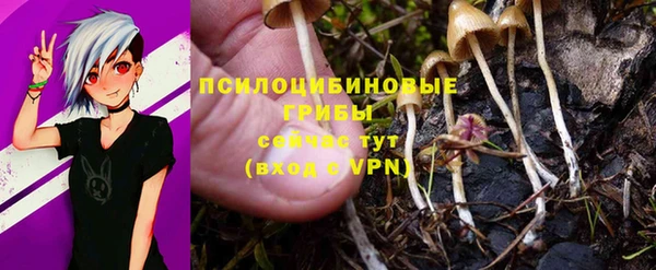 СК Касимов