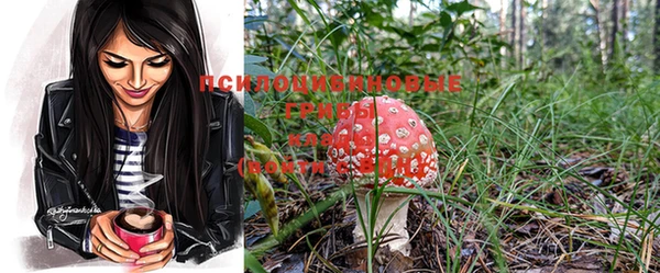 прущая мука Карпинск
