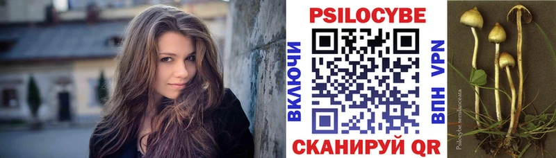 Галлюциногенные грибы Psilocybine cubensis  Купить закладки  Тихорецк 